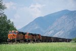 Train in a Field